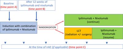 Distinct patterns of auto-reactive antibodies associated with organ-specific immune-related adverse events